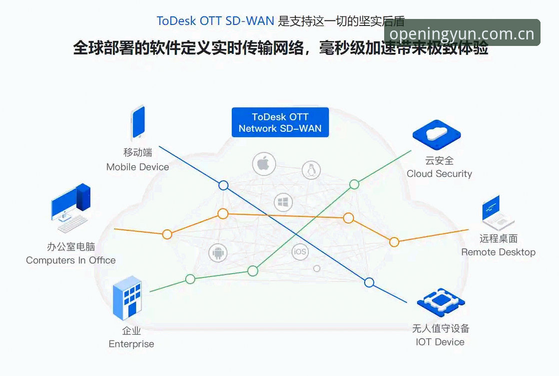 云开全站使用指南详解：从下载到投注的完整经验分享