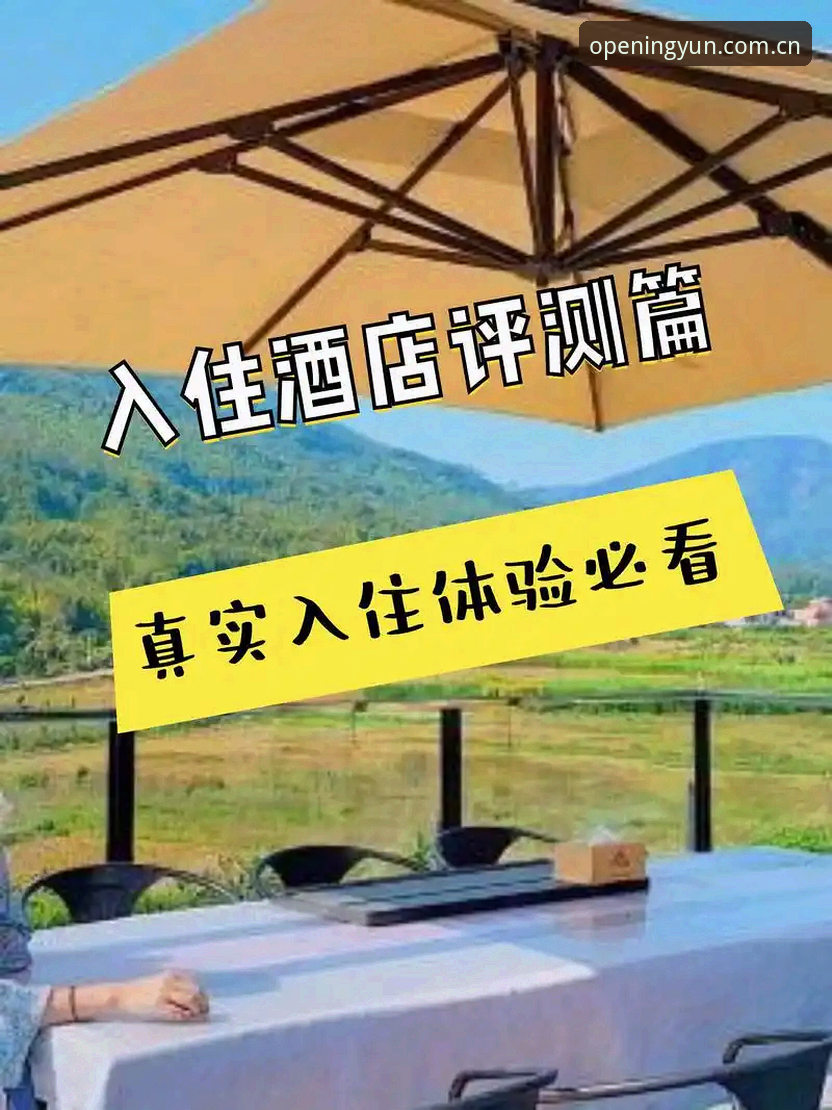 云开全站安卓版深度评测：从下载安装到赛事数据，一位老用户的真实体验报告